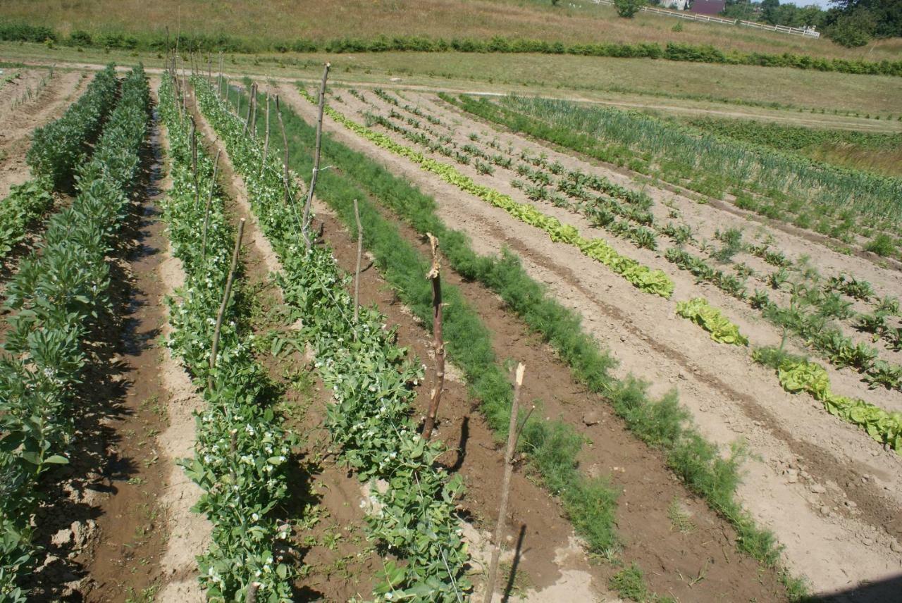 Agrodomki Okej -Dom Kasjan Gardna Wielka Экстерьер фото